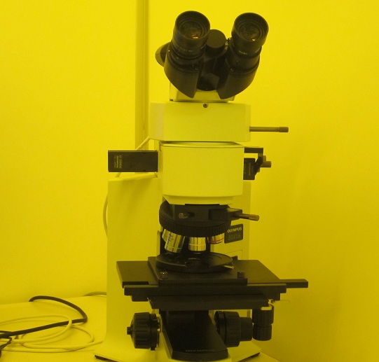 Picture of Optical Microscope
